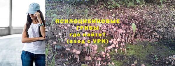 Альфа ПВП Арсеньев