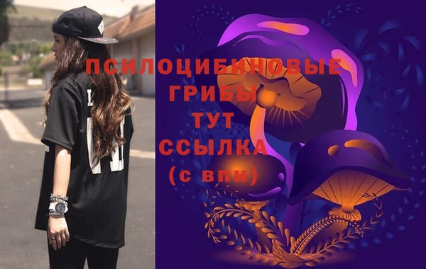 2c-b Армянск