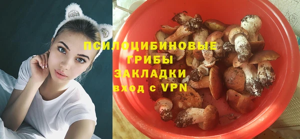 mdpv Алзамай