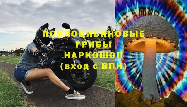 mdpv Алзамай