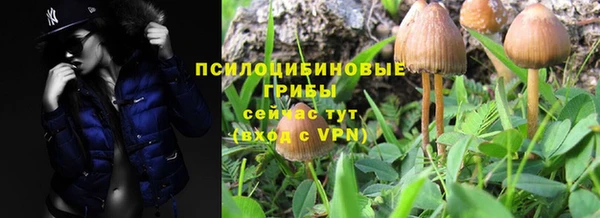 mdpv Алзамай