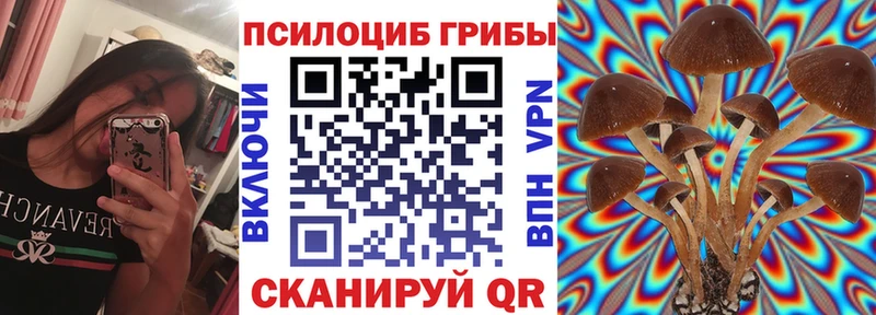 ссылка на мегу как войти  Светлоград  Галлюциногенные грибы прущие грибы  цена  